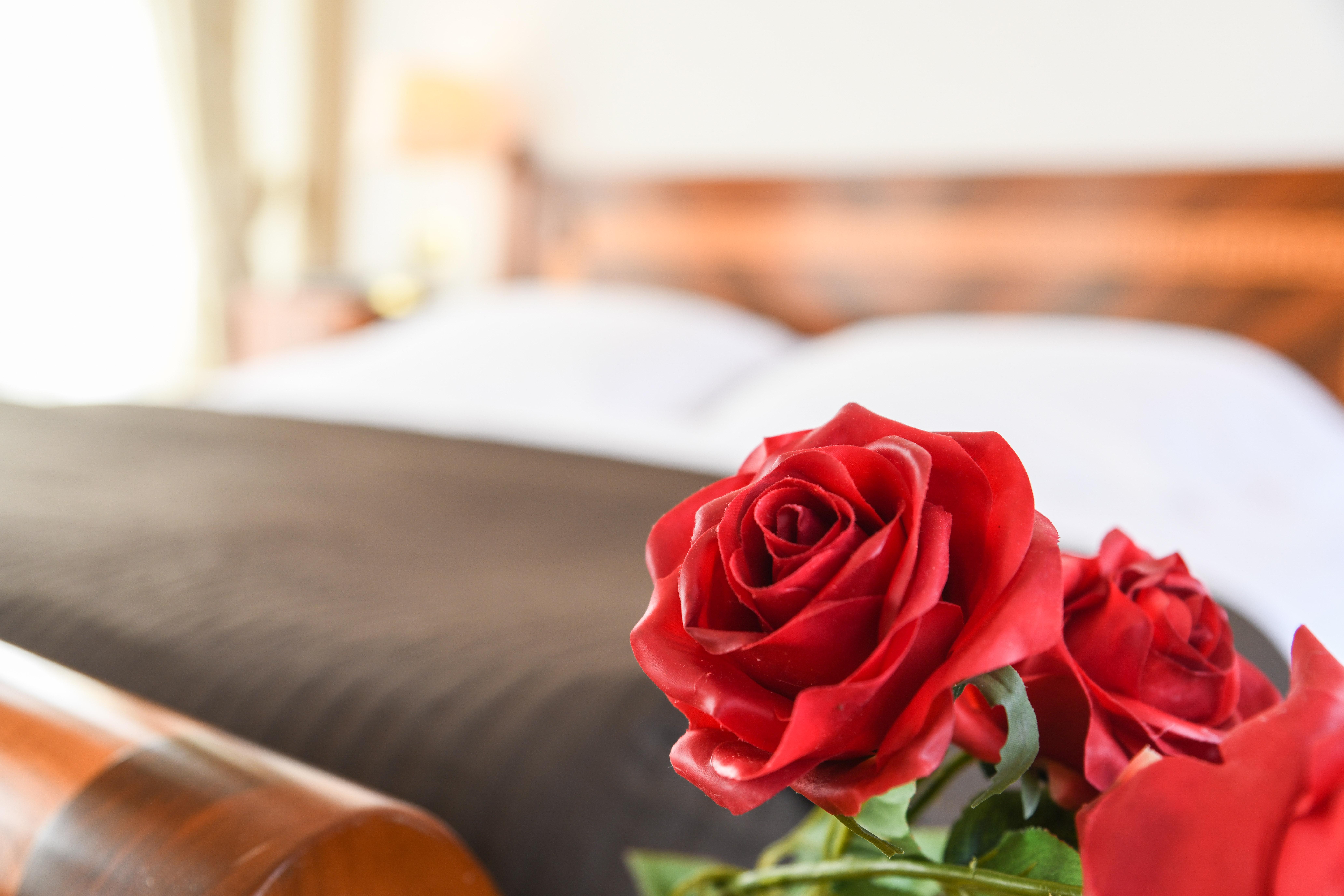 Hotel Vittoria Μπρέσια Εξωτερικό φωτογραφία A red rose